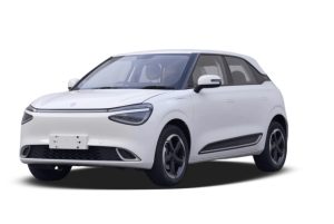 Image DONGFENG NAMMI 100% ELECTRICO