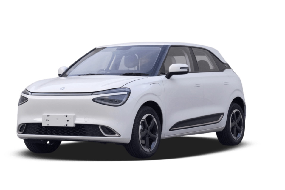 Image DONGFENG NAMMI 100% ELECTRICO
